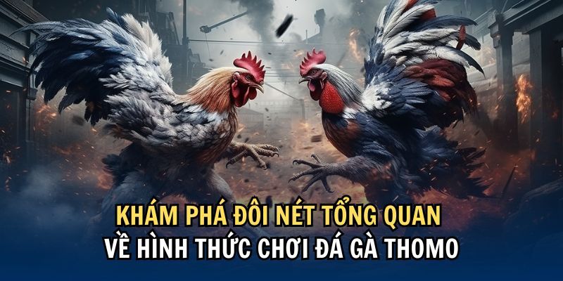 tai sao keo da ga thomo lai pho bien