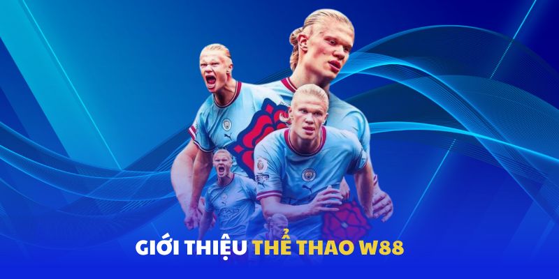 Thể thao W88, những thông tin chính về nền tảng